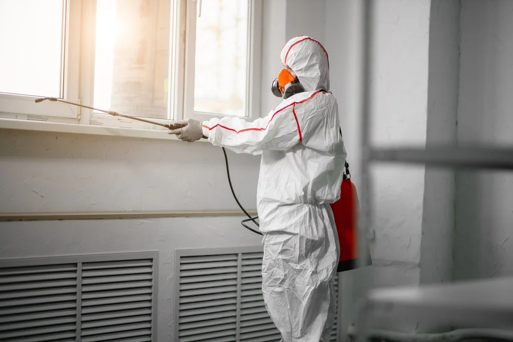 Professional mold remediation services in East Otis, MA